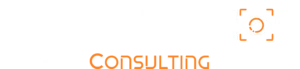 SynthVision